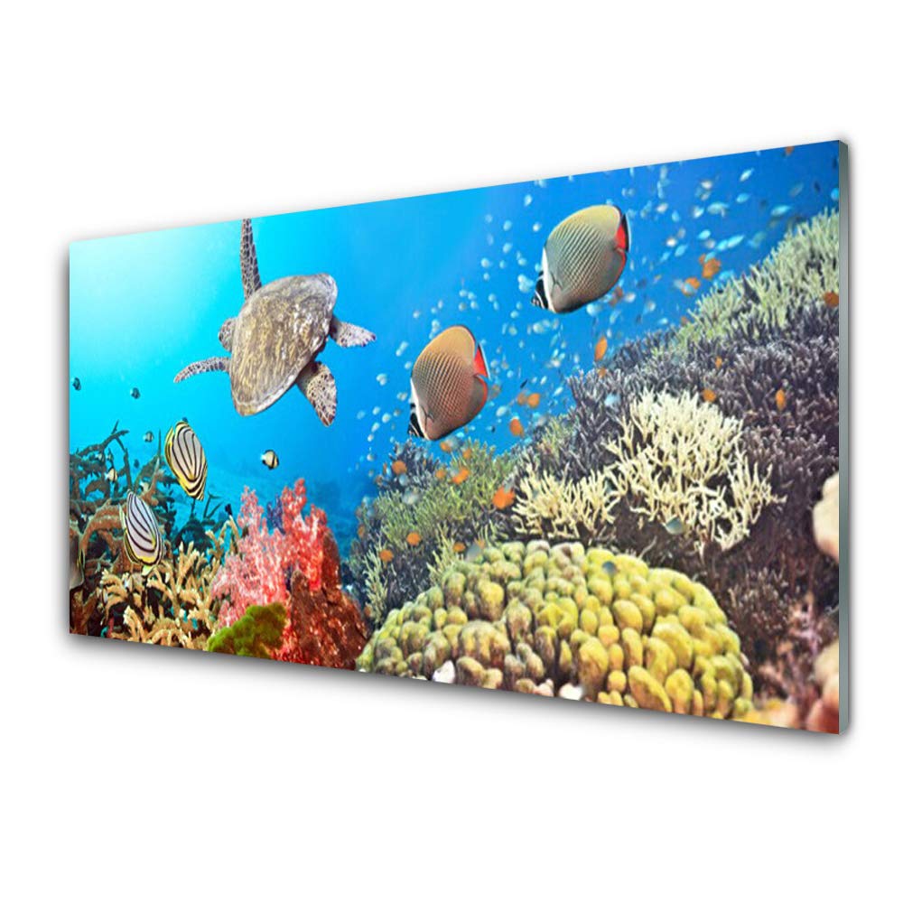 Tableau en Plastique Imprimé 125x50 - Verre Acrylique Lumineux et Résistant Coral Reef