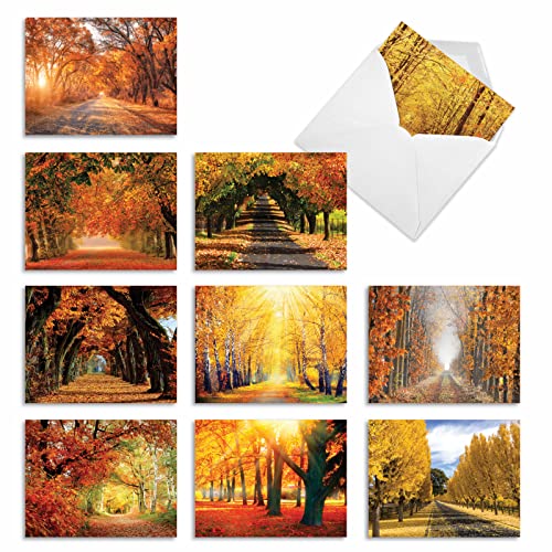 Image of The Best Card Company - 10 Beautiful Note Cards Blank (4 x 5.12 Inch) - Fall and Autumn Season, Boxed Notecard Assortment - Fall Foliage M4971OCB-B1x10
