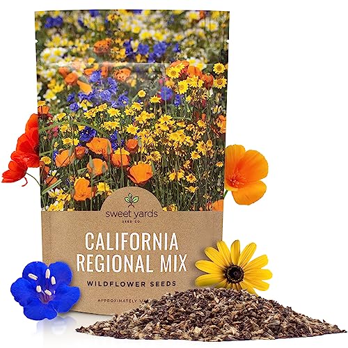 California Wildflower Mixture - Bulk 1/4 Pound Bag - Over 30 000 Native Seeds - Open Pollinated and Non GMO