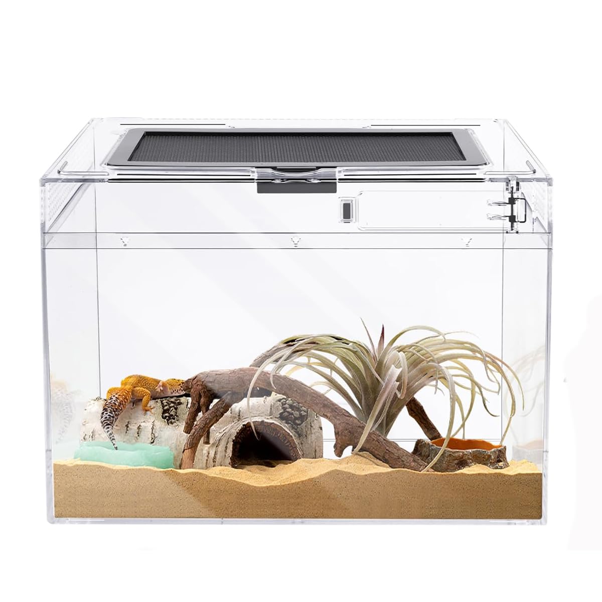 Terrarium pour Reptiles,40*20*25cm Transparent Boîte d'élevage en Acrylique pour Reptiles avec Trous d'air, pour Araignées, Grenouilles Cornues, Coléoptères, Lézard et Autres Reptiles (15.7*8*10in)