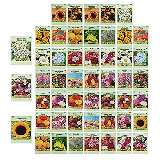 Set of 50 Assorted Flower Seed Packets! Flower Seeds in Bulk - 10+ Varieties Available!