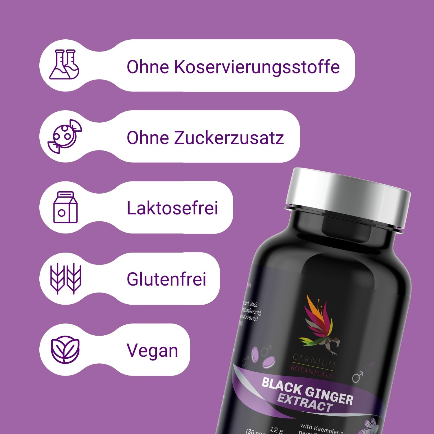 Carnium Botanicals Black Ginger Extrakt, 30 Kapseln | Vegane Ingwer Kapseln, Glutenfrei, Laktosefrei, Bio Ingwer Extrakt