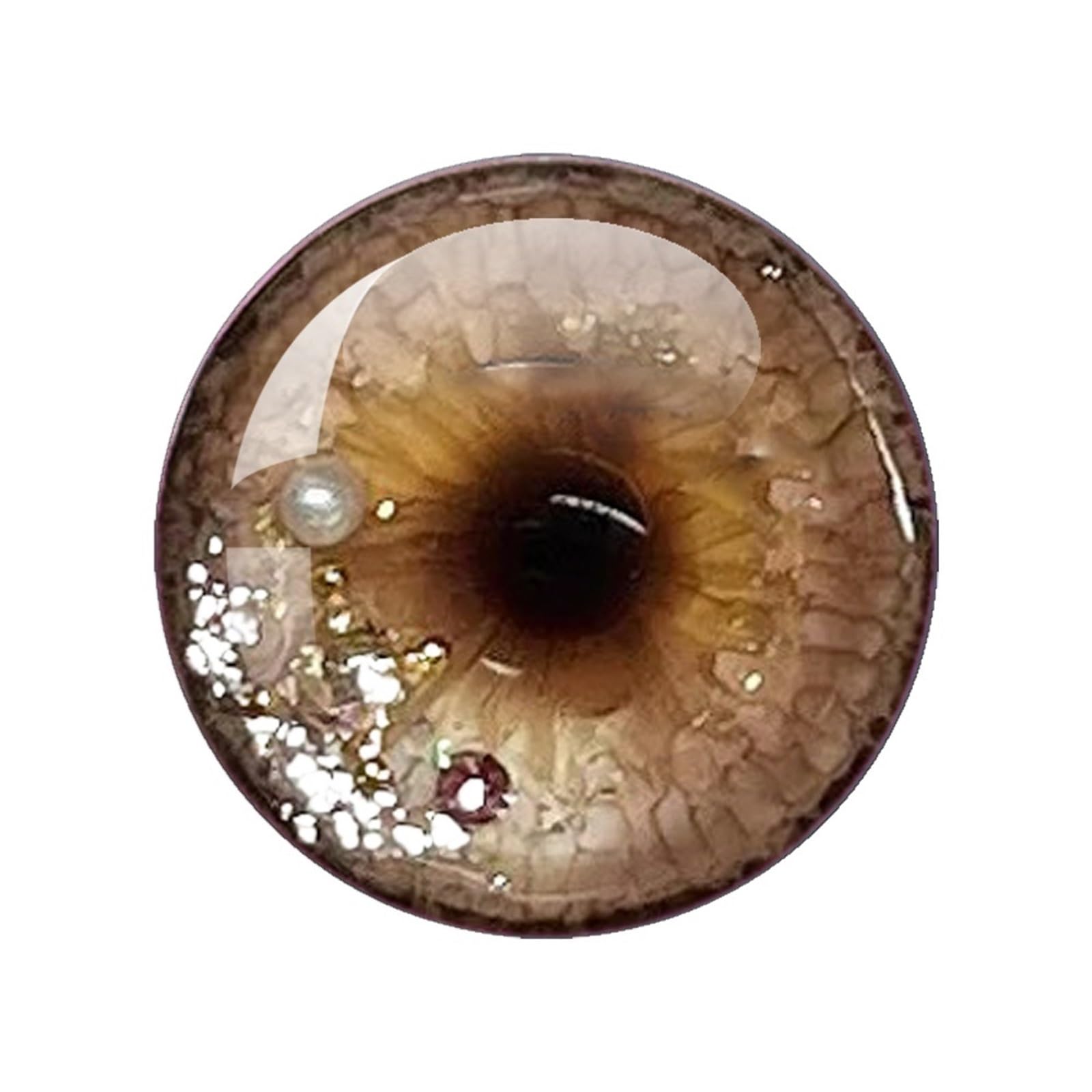 Yeux de poupée en verre motifs puces uniques pour vos ateliers créatifs et modèles de collection