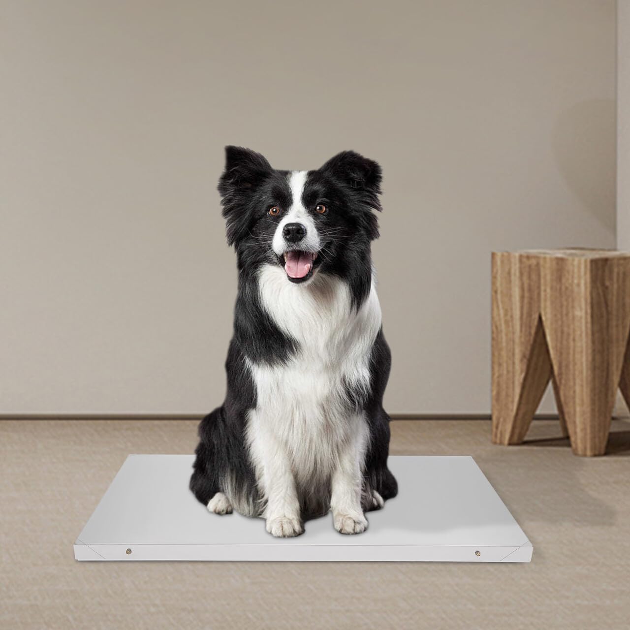 Bilancia da pavimento, per animali domestici, per animali domestici, casa, clinica veterinaria, 300 kg, 103 x 53 cm