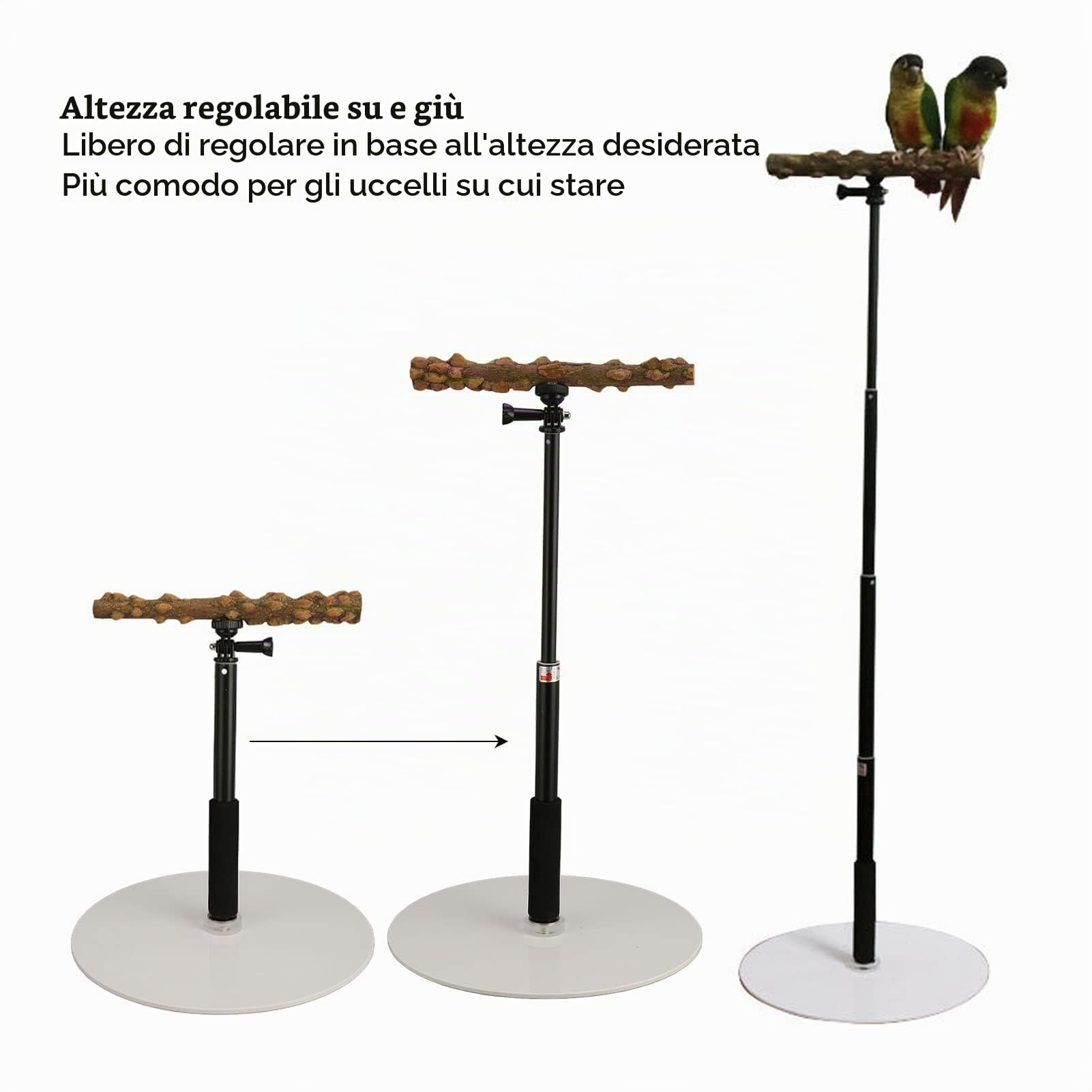 Supporto da Terra Regolabile in Altezza per Uccelli, Posatoio e Gioco per Pappagalli, Parrocchetti, Calopsite, Ara, Fringuelli, Inseparabili
