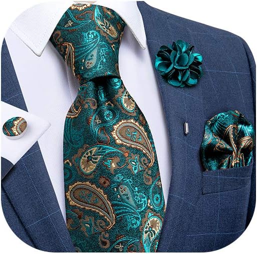 DiBanGu Silk Ties for Men Necktie and Lapel Pin Brooch Set Formal Woven Paisley Plaid Striped Solid Tie Wedding Party