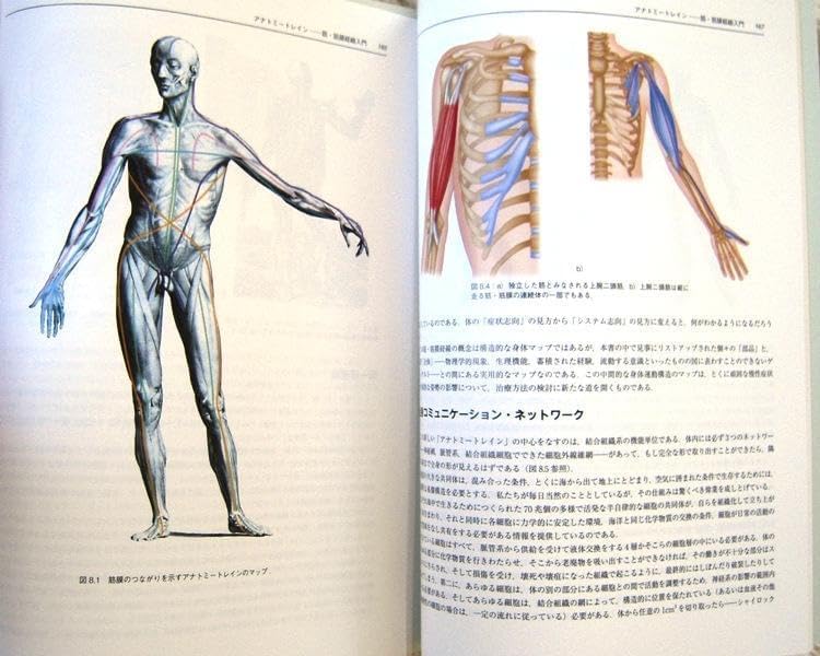 ムービングボディ 動きとつながりの解剖学 | クリス ジャーメイ， 住岡