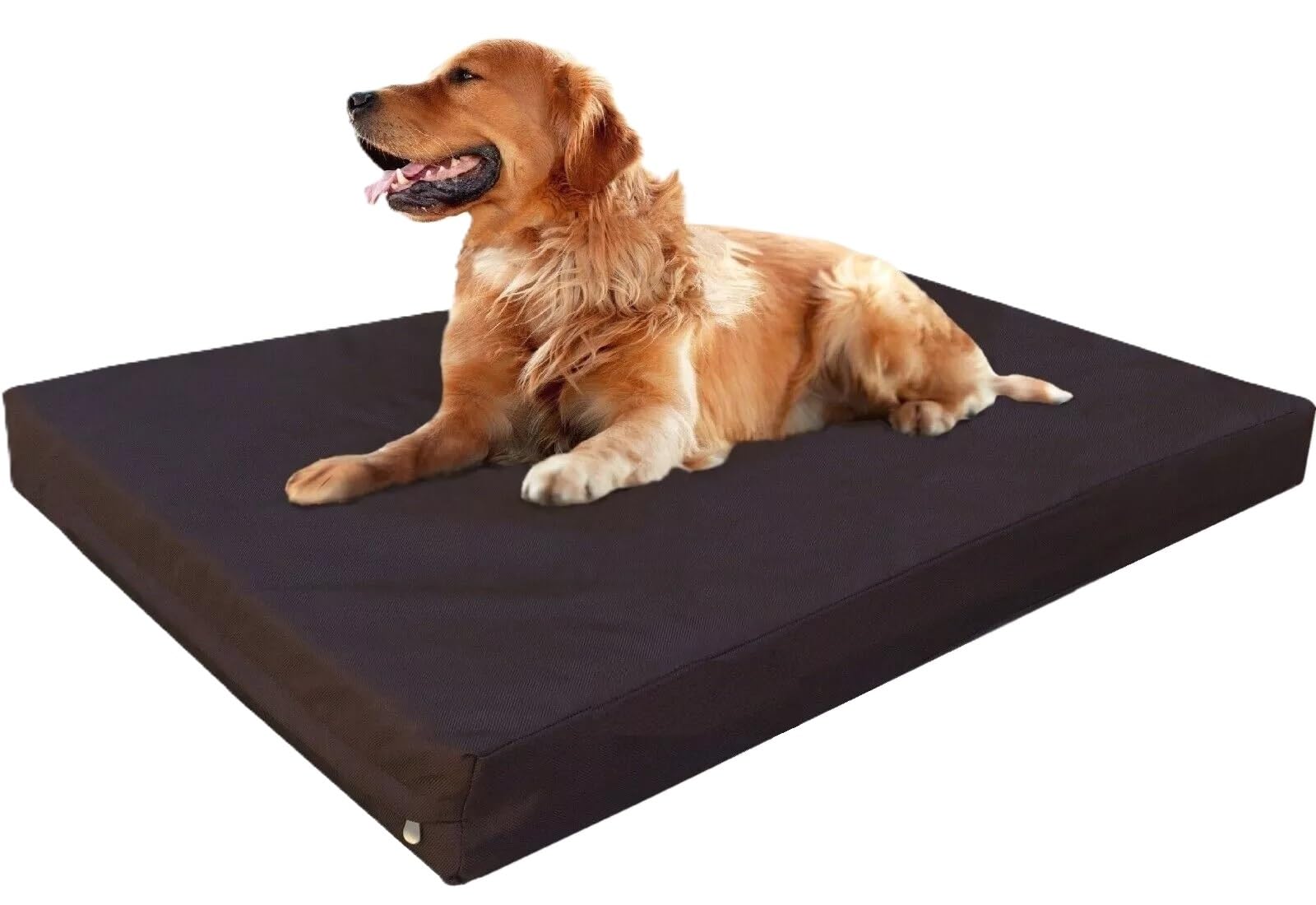 FOAMSUPA Heavy Duty Pet Dog Bed Mattress Mat Cushion with Tough Waterproof cover (Brown, Medium 75cm x 52cm x 5cm – 30″ x 20″ x 2″)