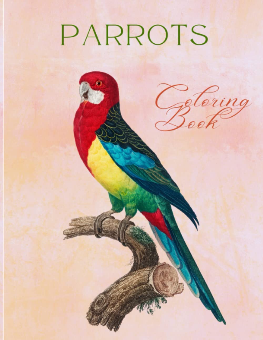 Parrot Coloring Book for Kids and Adults