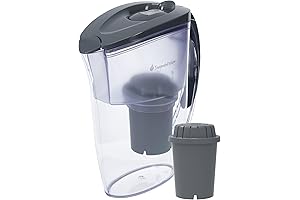 Invigorated Water pH001 Fluoride Removal Water Filter Pitcher