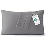 Queen Pillow Cases Set of 2 - Silver Grey Brushed Microfiber Pillowcase 2 Pack, Super Soft and Cozy Pillow Case Covers with Envelope Closure, Wrinkle, Fade and Stain Resistant, 20x30 Inches