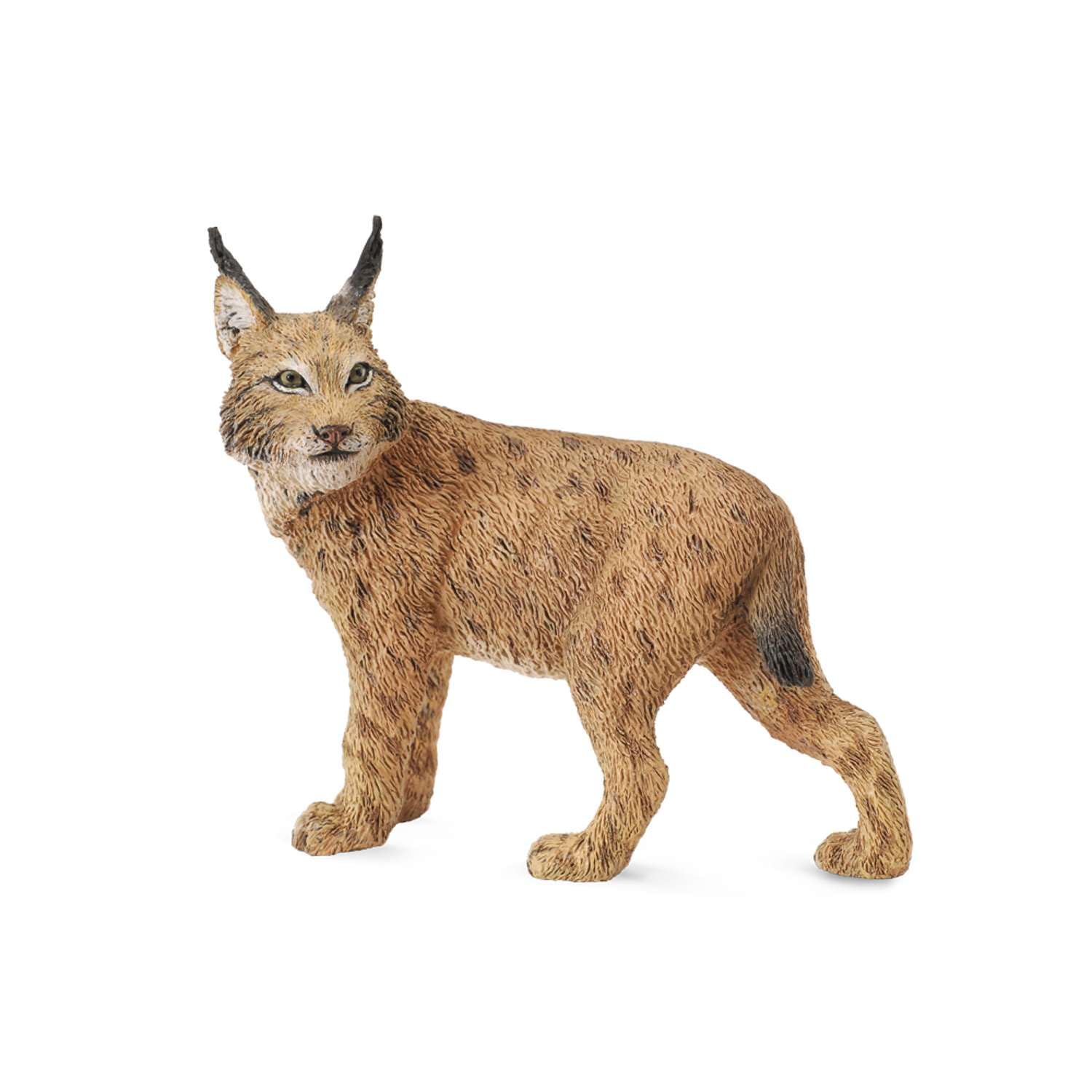 Collecta - 3388565 - Figurine - Wild Animals - Lynx