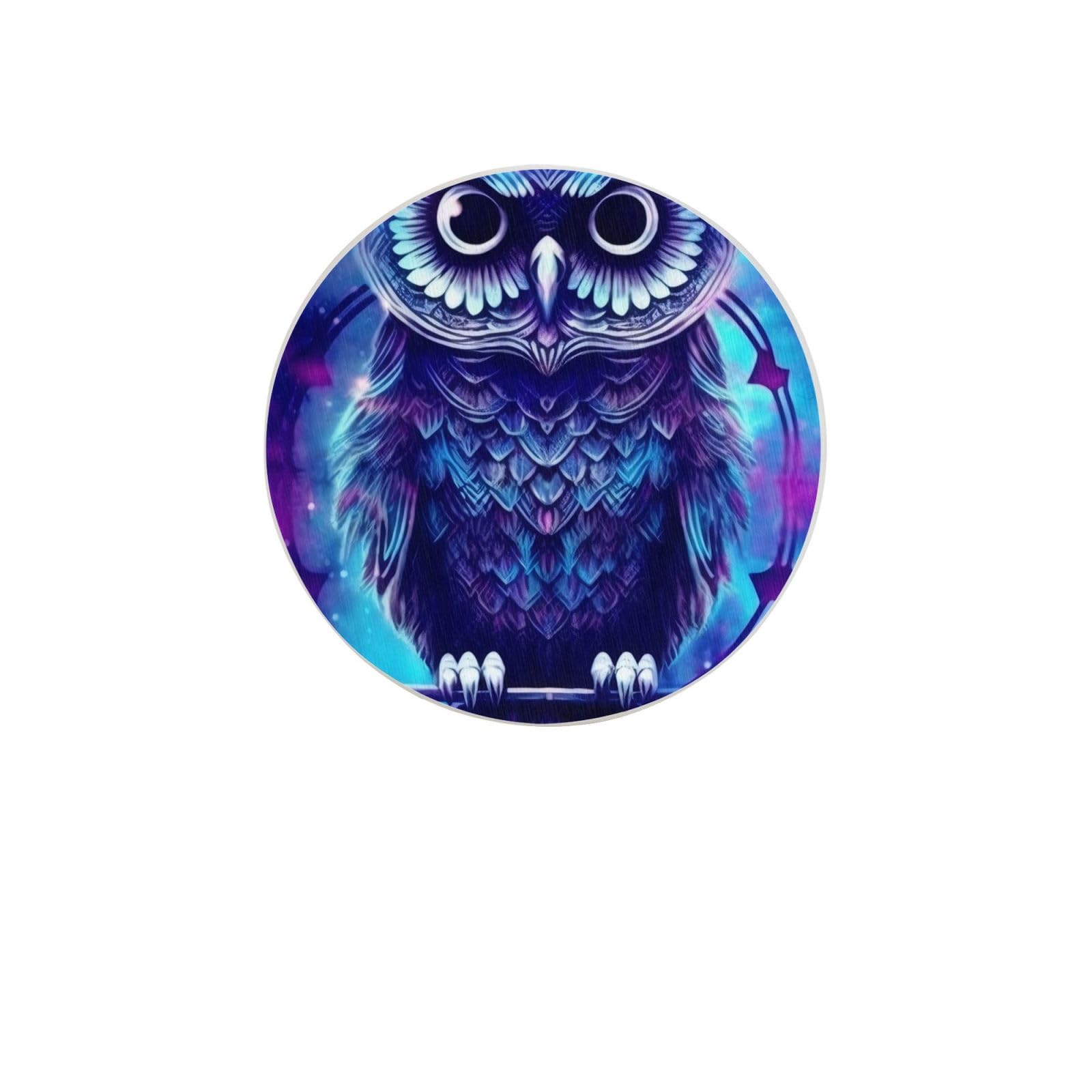 Blue Owl Absorbent Drink Coasters Diatomaceous Round Coaster 4 Inch Reusable Cup Coasters Set 4pc