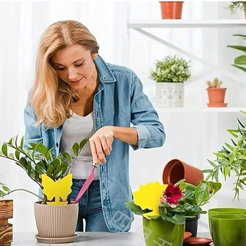 Miniatura 7 de Zevo - Aerosol para insectos  10 onzas (1), juego con 3 piezas de trampa para frutas pegajosa amarilla exclusiva Fusion Shop Store.