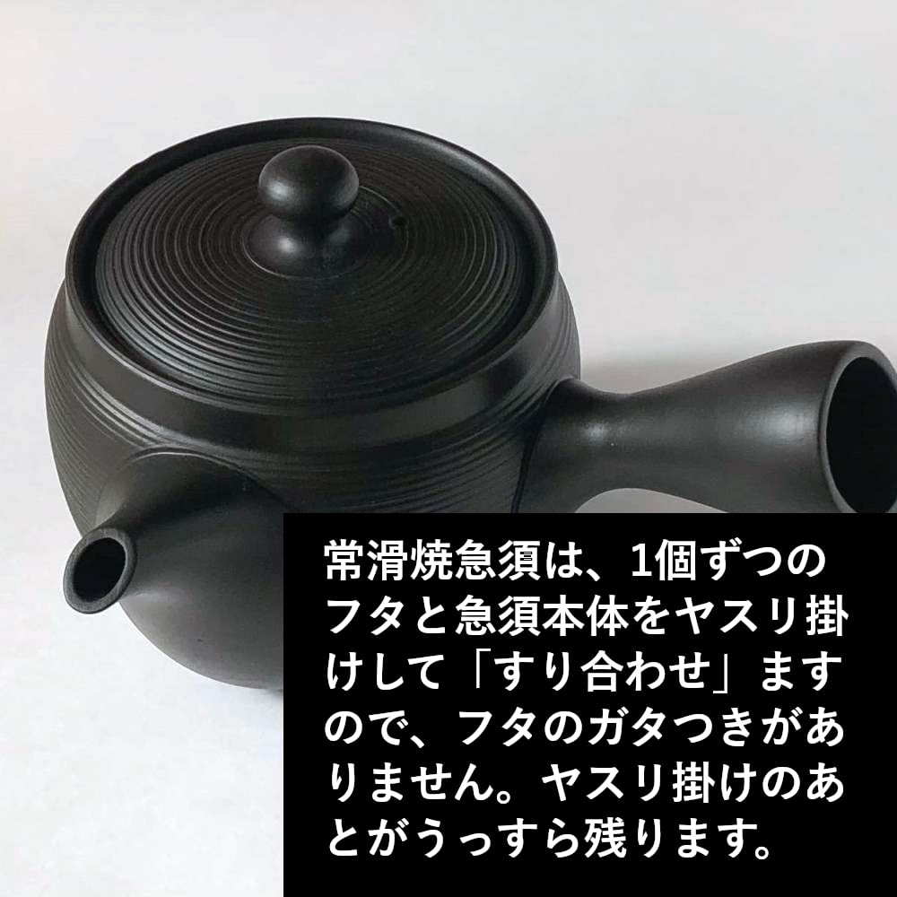 Amazon.co.jp: Tokoname Ware Sera Mesh Large Teapot, 16.9 fl oz
