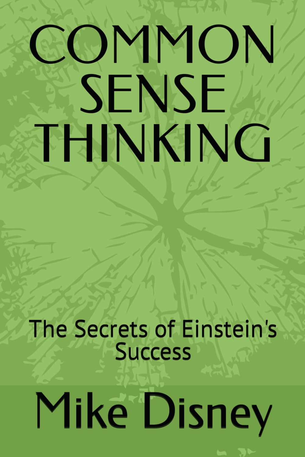 COMMON SENSE THINKING: The Secrets of Einstein's Success