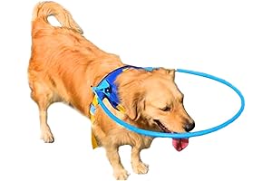 Momarsh Dog Blind Assist Device
