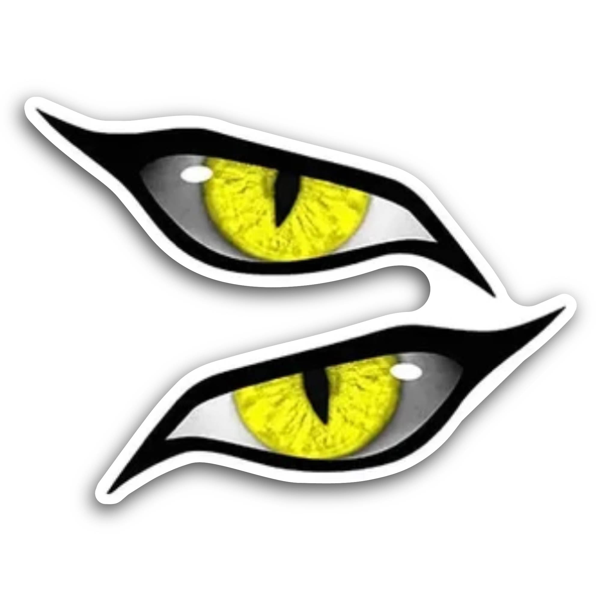 Amazon.com: Stickers N Decals