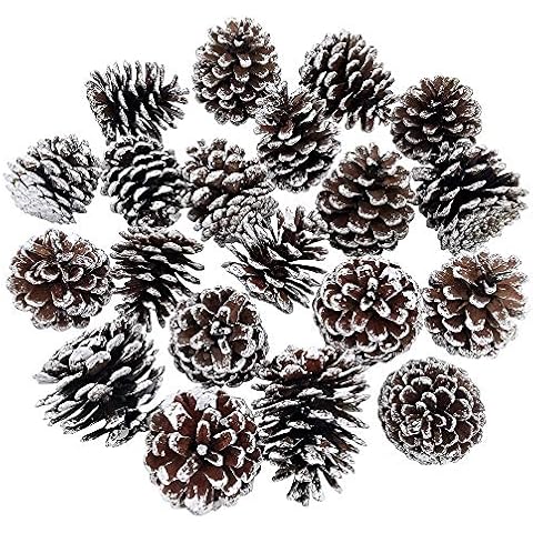 20-Piece Snow Tipped Real Natural Dried Pine Cones Frosted Pinecones Ornaments 2" - 3" Tall for Home Decor Christmas Winter Xmas Rustic Country Decoration Cover