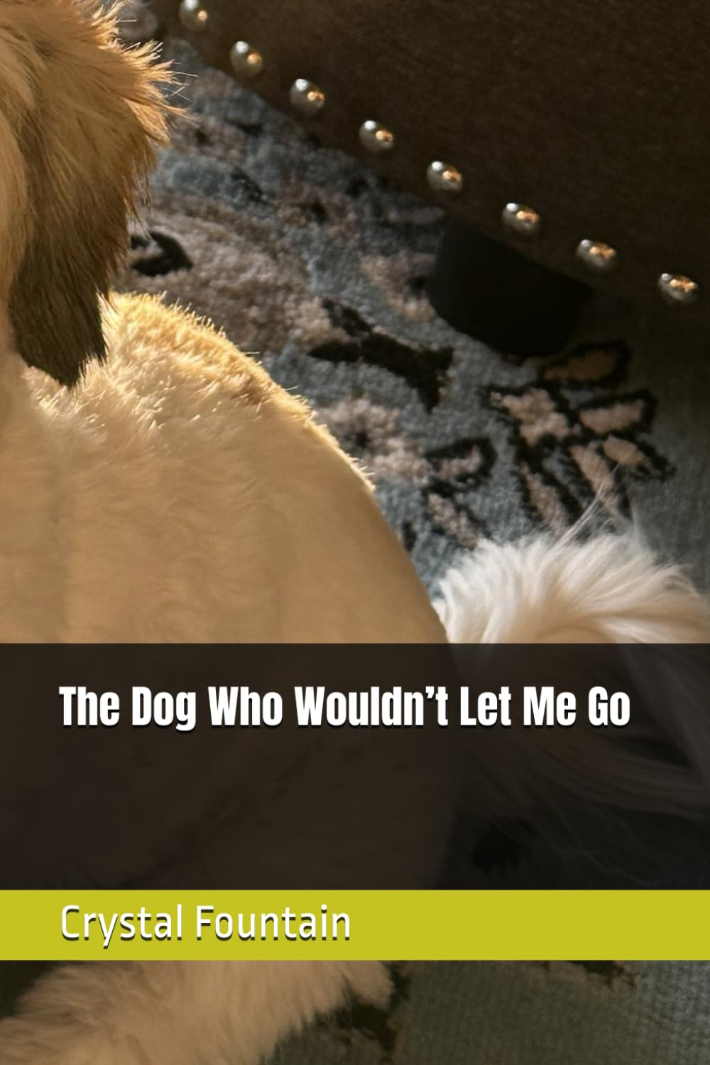The Dog Who Wouldn’t Let Me Go
