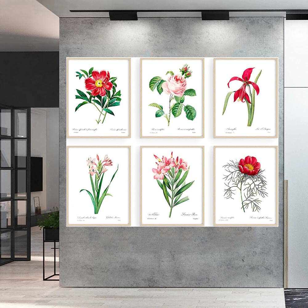 Amazon.co.jp: ヴィンテージフラワーポスターPoster6個セットワイルド