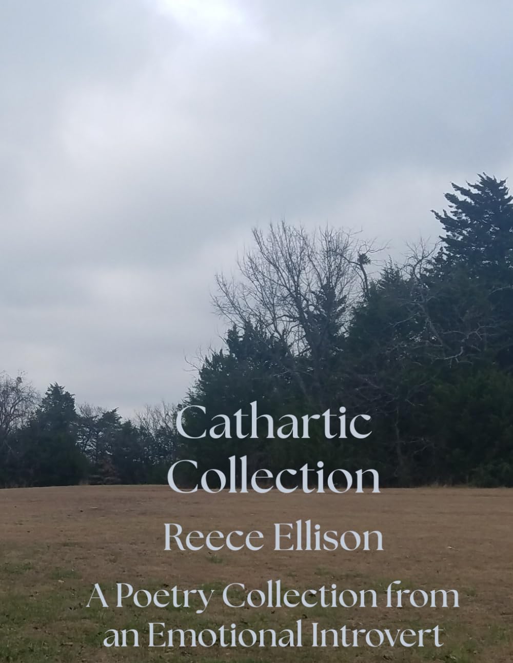 Cathartic Collection: A Poetry Collection from an Emotional Introvert