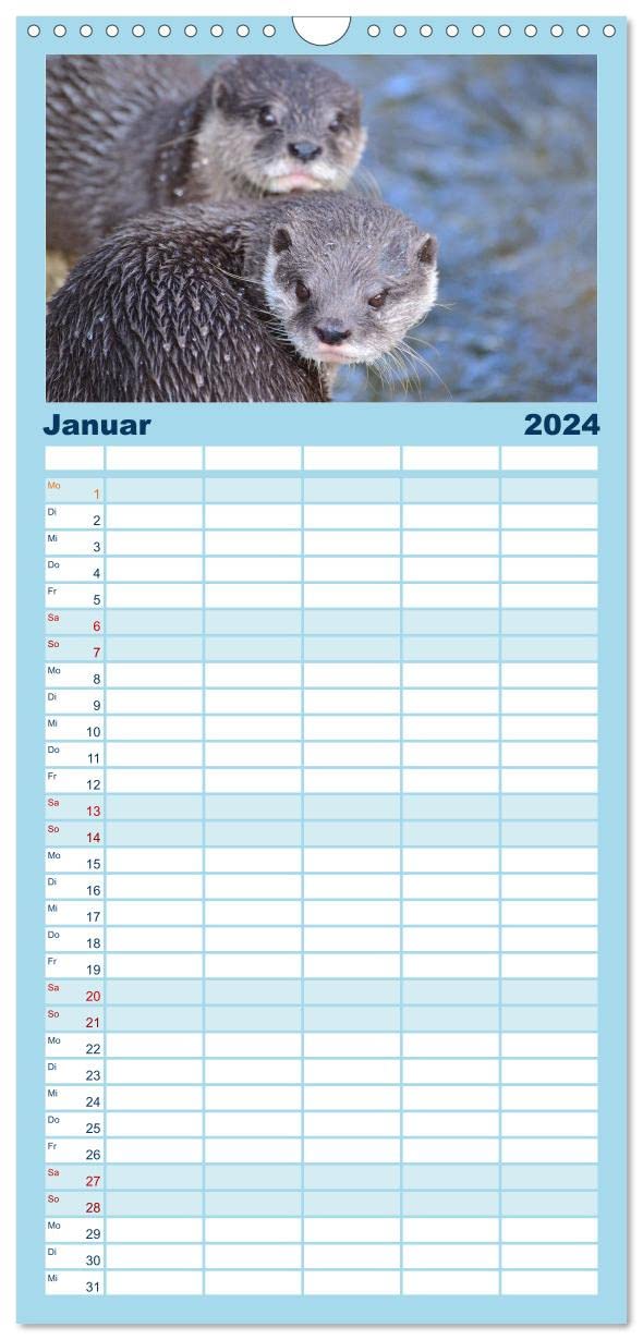 Familienplaner 2024 - Otter. Frech, laut und clever mit 5 Spalten (Wandkalender, 21 cm x 45 cm) CALVENDO: Putzige Räuber und echte Rabauken im und am Wasser (CALVENDO Tiere)