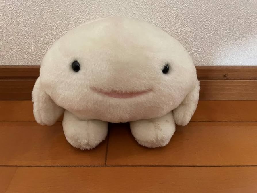 Amazon.co.jp: 中京テレビ チューキョーくん初代ぬいぐるみ