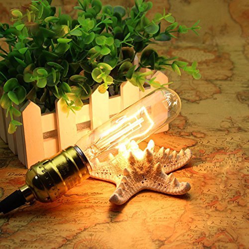 E26 40 Watt T10 Tubular Vintage Edison Incandescent Light Bulb, Dimmable Decorative Candelabra 120 Volt Chandelier, Nightlight, Antique Vintage Style Light Bulb, 240 Lumen, Amber Warm 4 Pack #TOP3