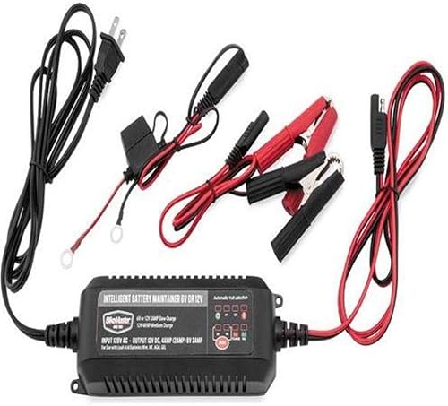 BikeMaster CargadorMantenedor Inteligente de Batería