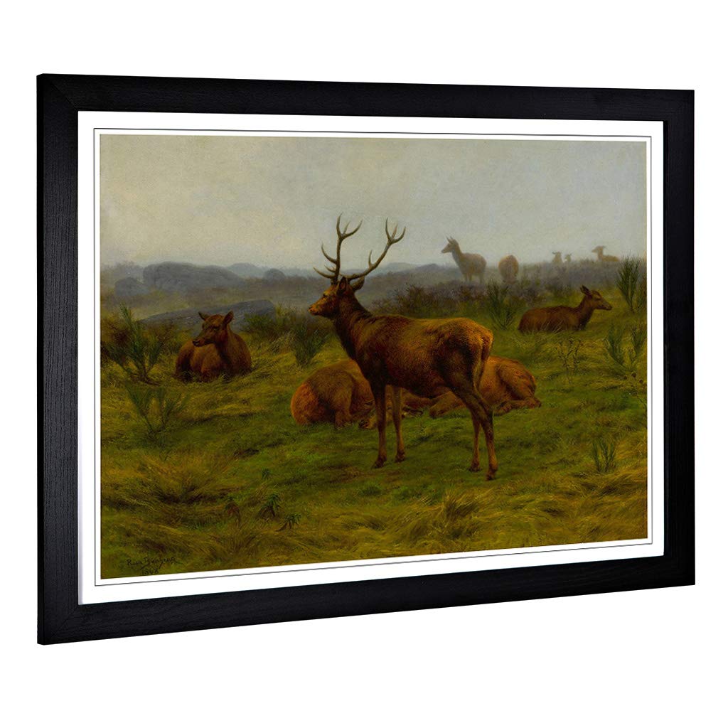 Big Box Art Framed Print of Rosa Bonheur The Stag and Deer Design | Wall Art Picture | Home Decor for Kitchen, Living, Dining Room, Bedroom, Hallway, Office, Black, A2 / 24.5x18 Inch / 62x45cm