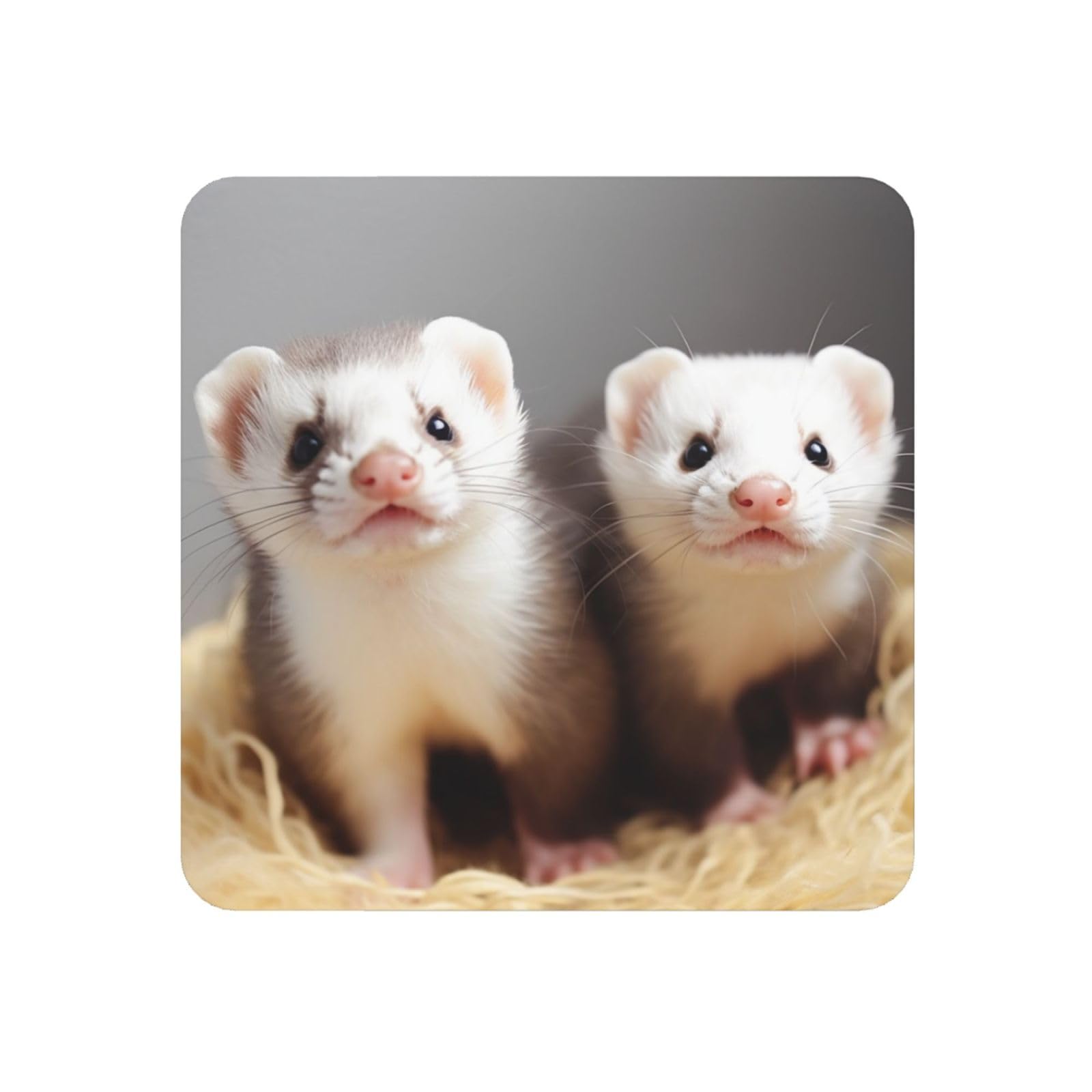 Ferrets Fridge Magnets Cute Strong Refrigerator Magnets Fun Magnet for Locker Office Whiteboard Decor, Door Magnets Decorative Magnetic Stickers for Home Decor