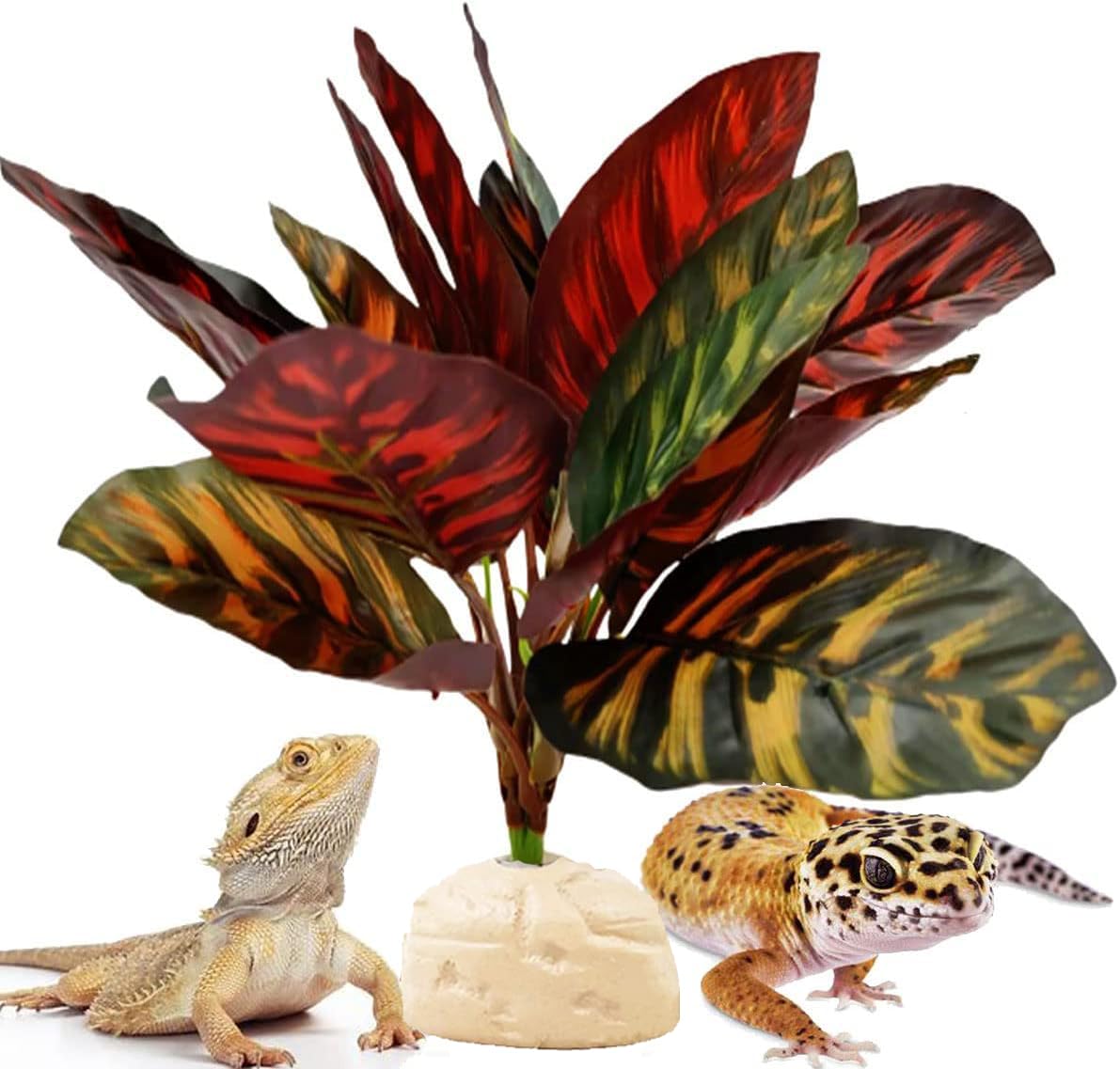FLmoving Reptile Terrarium Decor Plants,Amphibian Habitat Decor,Artificial Plants for Tank Accessories (Calathea makoyana -B)
