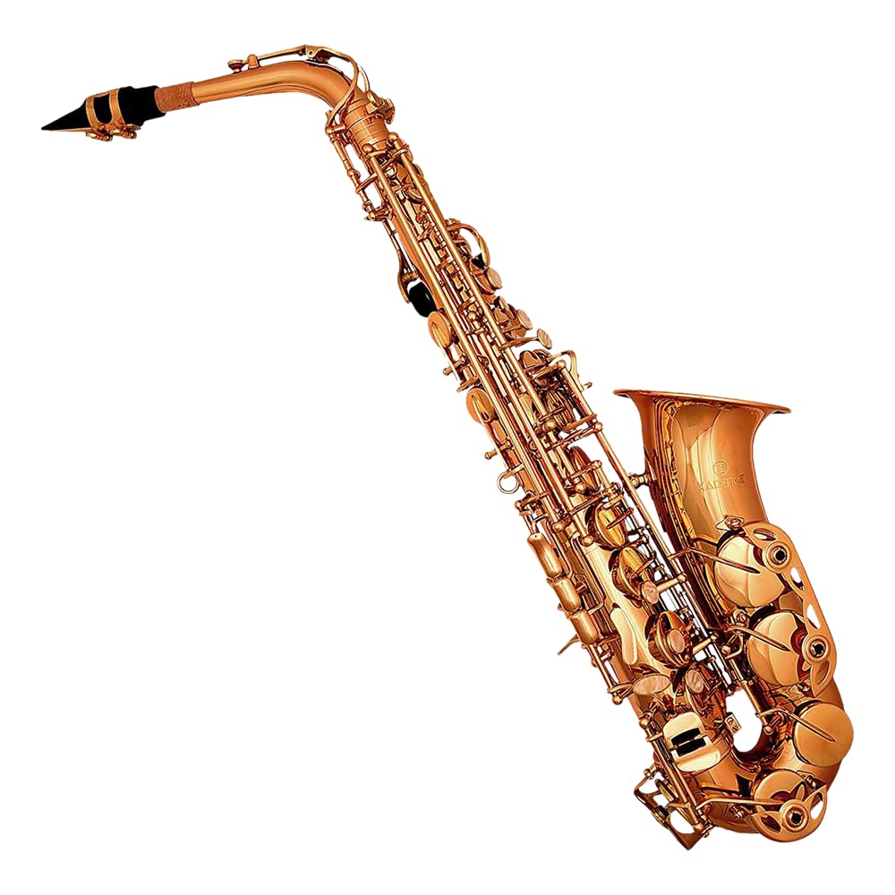 Kadence Alto Saxophone Lacquered Gold, Case, Mouthpiece, Polishing Cloth, Cleaning Rod And White Gloves KXG-image-34