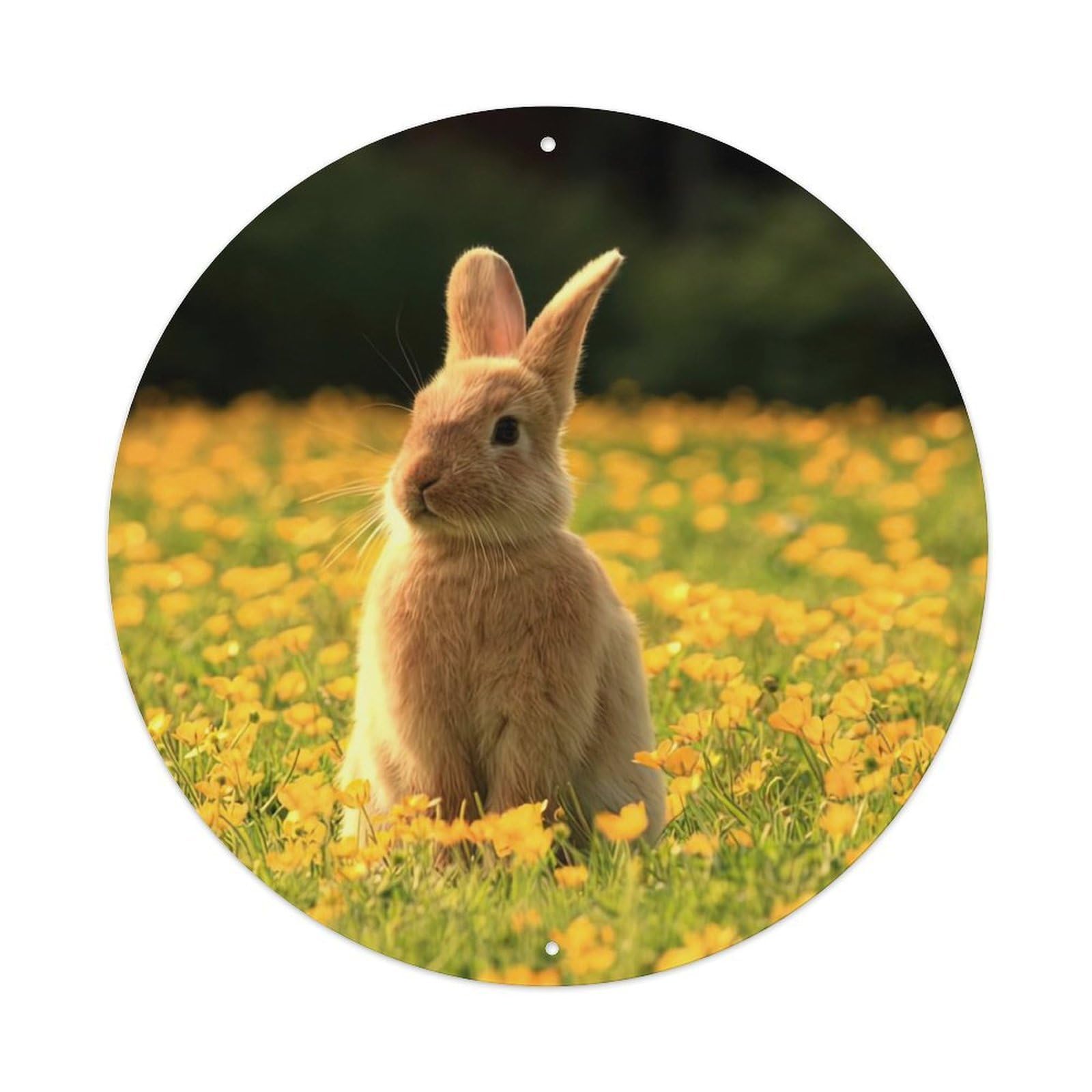 Animal House Rabbit in The Meadow Vintage Metal Tin Sign Plaque Wall Decor for Cafe, Club Bar, Office, Garden Metal Poster 8x8Inch