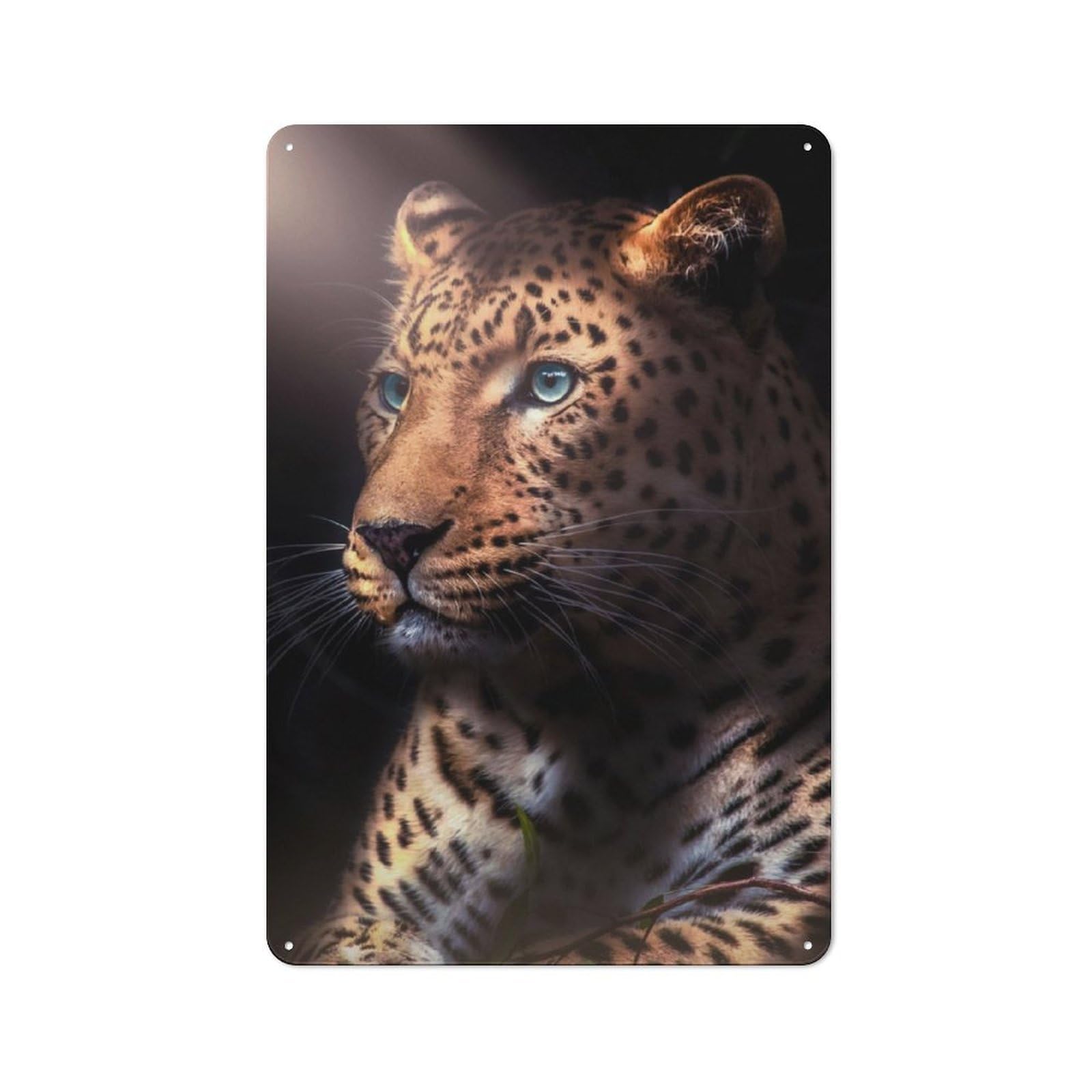 Junmoney Dak Jaguar Rustic Metal Sign 30X20cm For Garden Room Or Summerhouse, For Summerhouse Decorators