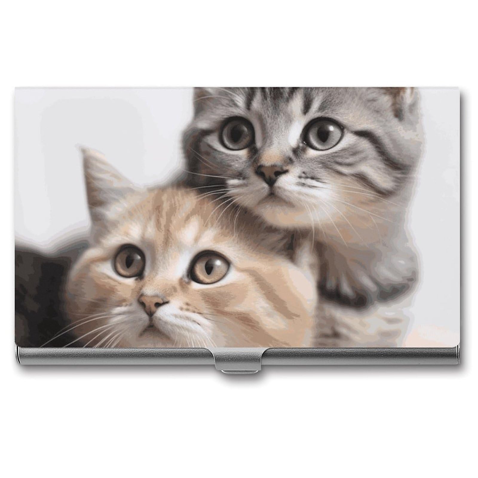 DWVTSLH Cats Business Card Holder, Slim Portable Metal Business Card Case Pocket Wallet Professional Name Cards Holder for 22-30 Cards, Credit Card ID Case/Holder for Men Women