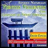  Fuego de Campo en un Bosque a Medianoche: Sonidos Naturales (Bonus Track)