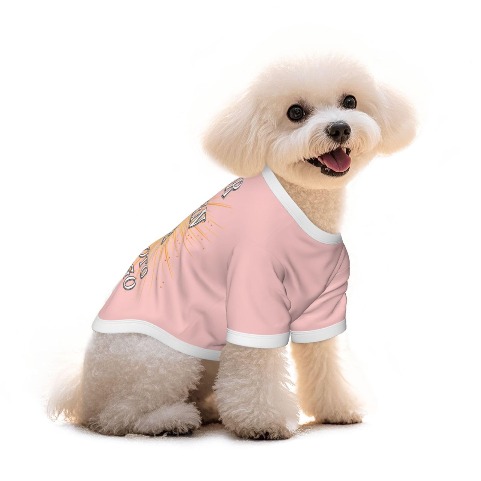Custom Dog Coat T-Shirt – Personalized Pet Clothes with Text/Logo/Image, Small Dog Vest, Puppy Outfit, Unique Gift M