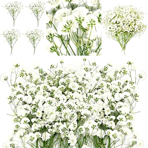 ACKKOR 60 Fleurs séchées de gypsophile artificielles avec Pince, véritables Fleurs Naturelles séchées pour créations en résine, Loisirs créatifs,...