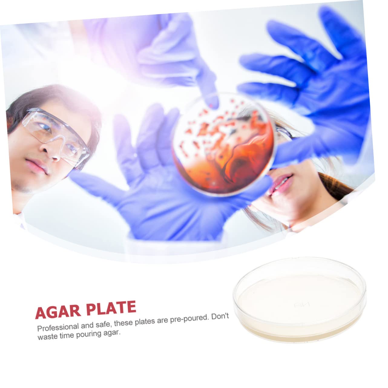 20 Pièces Boîtes De Pétri Pré-Coulées Avec Agar Pour Expérimentation Scientifique Stem 2.76X2.76X0.79In Plaques De Gélose Nutritive Pour École Et Laboratoire