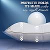 ROYAL THERAPY Queen Professional Hotel Pillows (Double-Pack) Pharmonis USA - A Set of Premium Plush Gel Microfiber Down Alternative Hypoallergenic Bed Pillows Stomach & Back Sleepers
