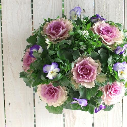  t{^̃nMOoXPbg񂹐A[(] MTCYtO rI  ߓ ߏ ߓ O   m  n{^ ɐ ԃAWg [X _  ~ oXPbg  t[Mt