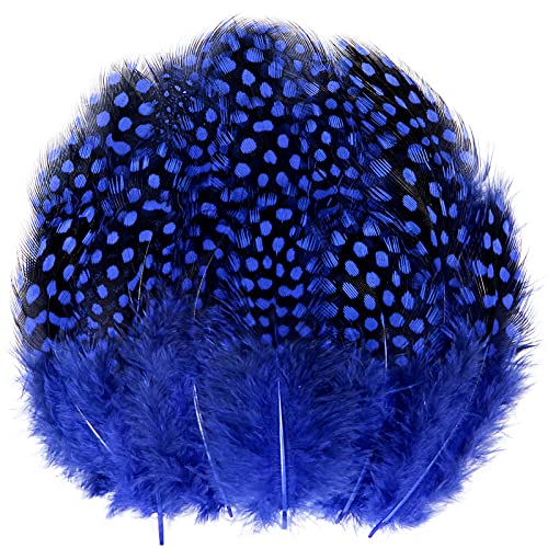 Tharaht Spotted Feathers 120Pcs 2-3Inch Small Natural Bulk Guinea Pheasant Feather For Crafts Hats Dream Catcher Decoration Feathers,Blue #TOP28