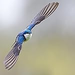 Review Image by John F. John F.