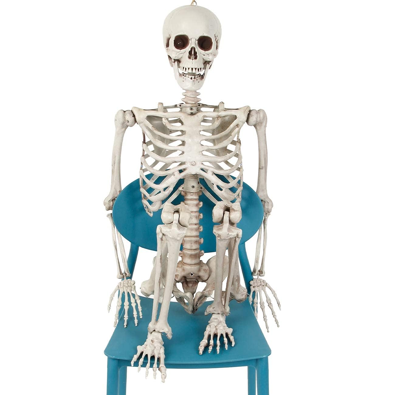 等身大人体骨格模型　 ハロウィン装飾　ドッキリなどにどうぞ！ Amazon | [ハルナツ] ハロウィン 骸骨 飾り 等身大 185CM 可動式 髑髏