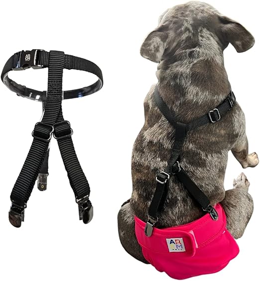 ARCM Pets Halos Pet & Dog Suspenders Guaranteed No Choke