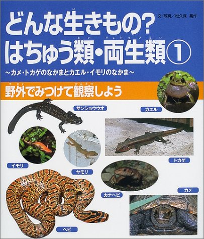 どんな生きもの?はちゅう類・両生類〈1〉野外でみつけて観察しよう―カメ・トカゲのなかまとカエル・イモリのなかま