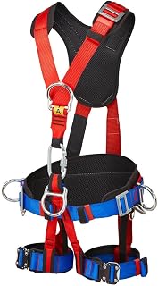 4-Point Safety Harness with Lanyard