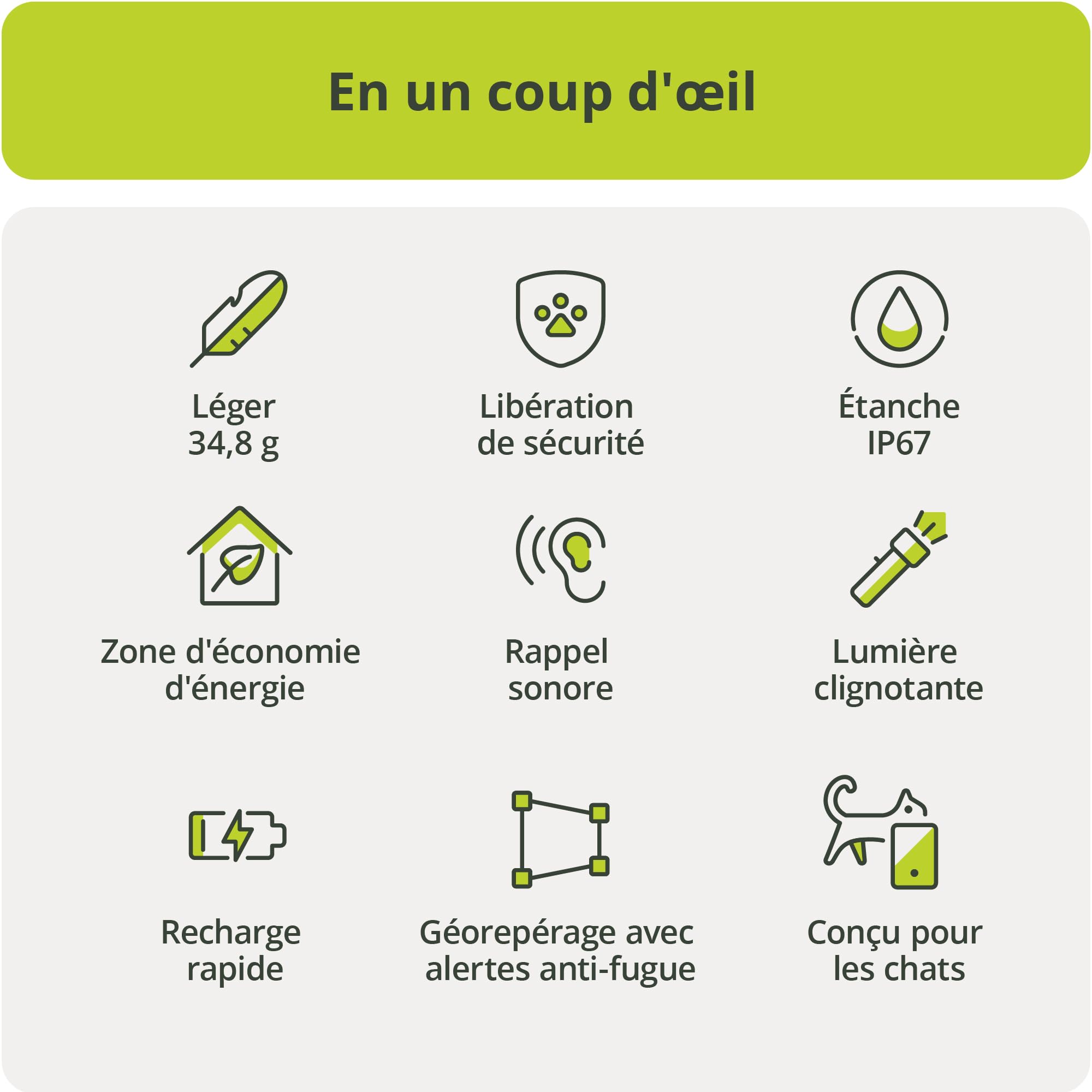 Kippy Cat V2 - Collier GPS pour Chats - Localisateur et Tracker de Santé et d'Activité avec Système Anti-Étranglement - Créer des Frontières Virtuelles - Suivi en Temps Réel